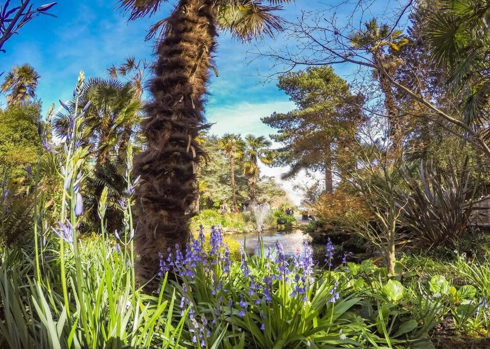 Bournecoast: Lovely Annex With Patio Nr Beach-5286 Bournemouth Buitenkant foto